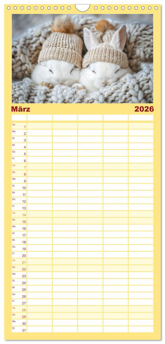 Lustige Hasengeschichten (CALVENDO Familienplaner 2026)