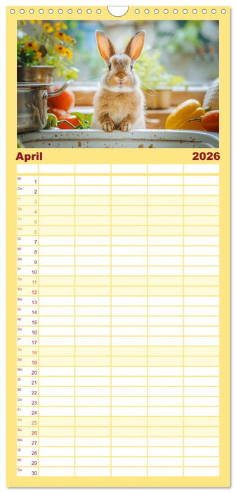 Lustige Hasengeschichten (CALVENDO Familienplaner 2026)