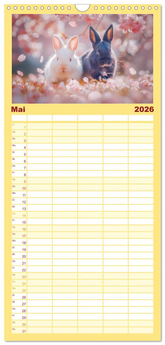 Lustige Hasengeschichten (CALVENDO Familienplaner 2026)