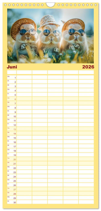 Lustige Hasengeschichten (CALVENDO Familienplaner 2026)