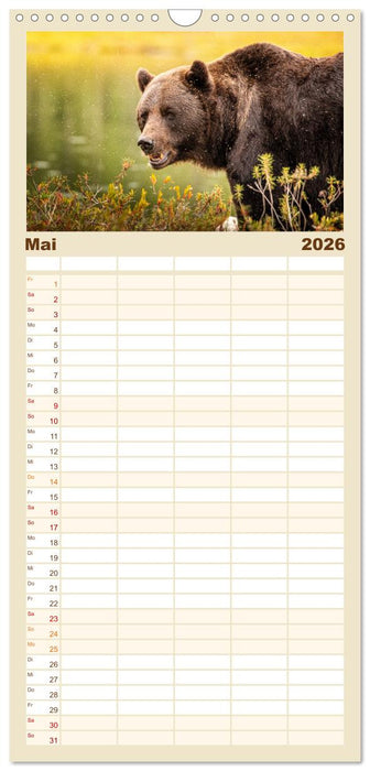 Wildes Finnland (CALVENDO Familienplaner 2026)