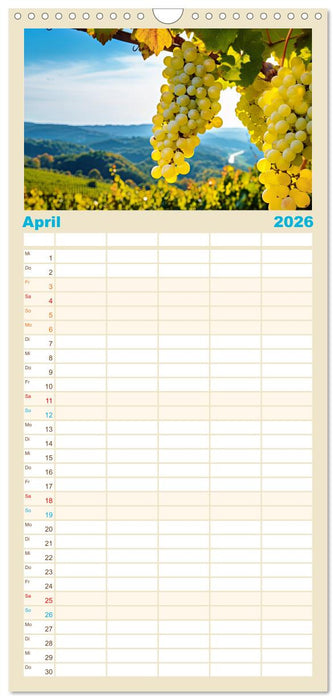 Rebensaft - Weingenuss (CALVENDO Familienplaner 2026)
