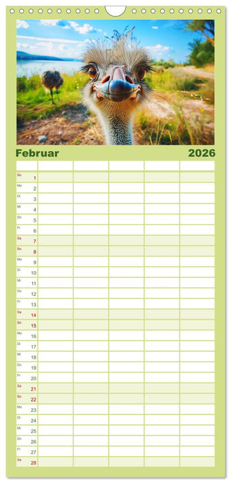 Witzige Tier-Selfies. Lustige Portraits aus der Tierwelt (CALVENDO Familienplaner 2026)