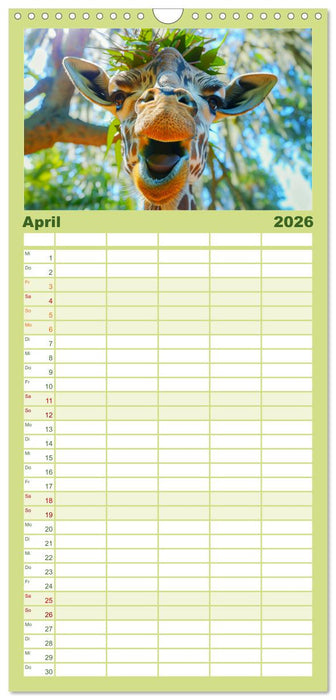 Witzige Tier-Selfies. Lustige Portraits aus der Tierwelt (CALVENDO Familienplaner 2026)