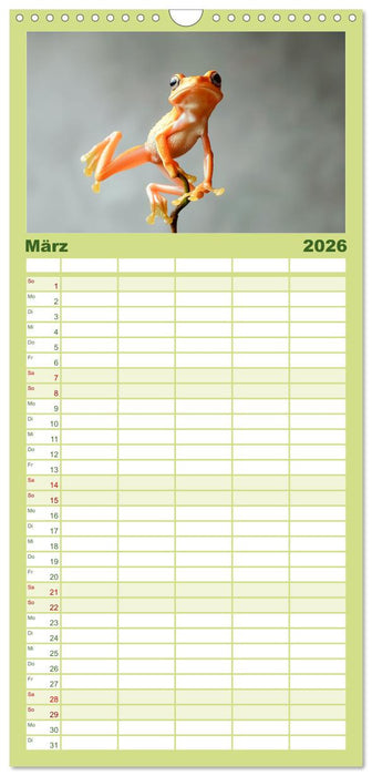 Lustige Amphibienbande (CALVENDO Familienplaner 2026)