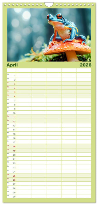 Lustige Amphibienbande (CALVENDO Familienplaner 2026)