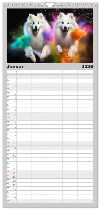 Holi Pulver - Doppelte Action (CALVENDO Familienplaner 2026)