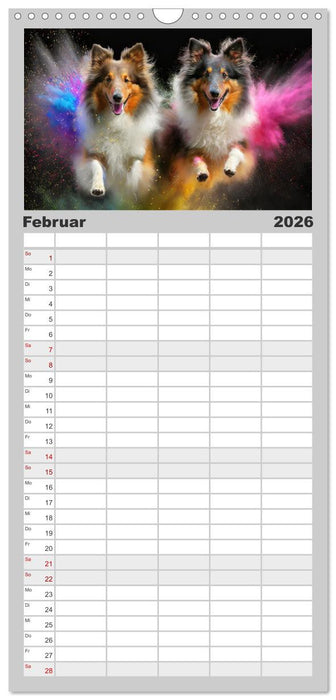 Holi Pulver - Doppelte Action (CALVENDO Familienplaner 2026)