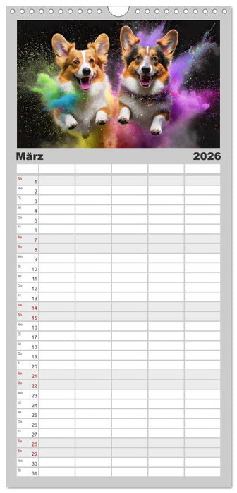 Holi Pulver - Doppelte Action (CALVENDO Familienplaner 2026)