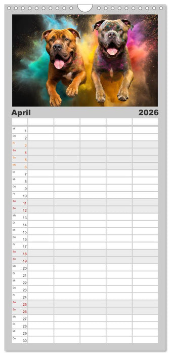 Holi Pulver - Doppelte Action (CALVENDO Familienplaner 2026)