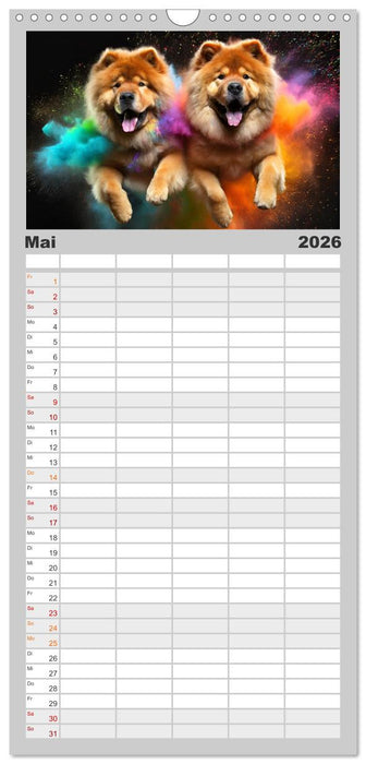 Holi Pulver - Doppelte Action (CALVENDO Familienplaner 2026)