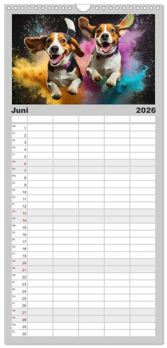 Holi Pulver - Doppelte Action (CALVENDO Familienplaner 2026)