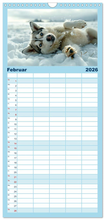 Schlittenhund Träume (CALVENDO Familienplaner 2026)