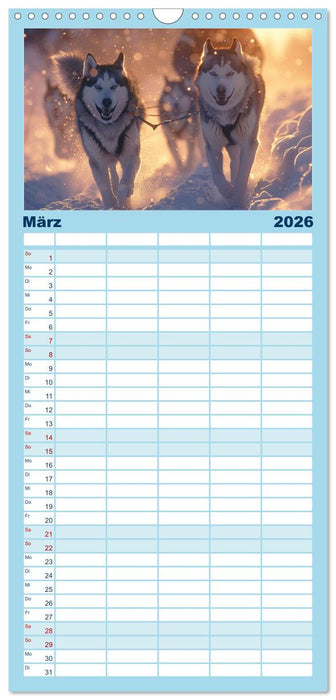 Schlittenhund Träume (CALVENDO Familienplaner 2026)