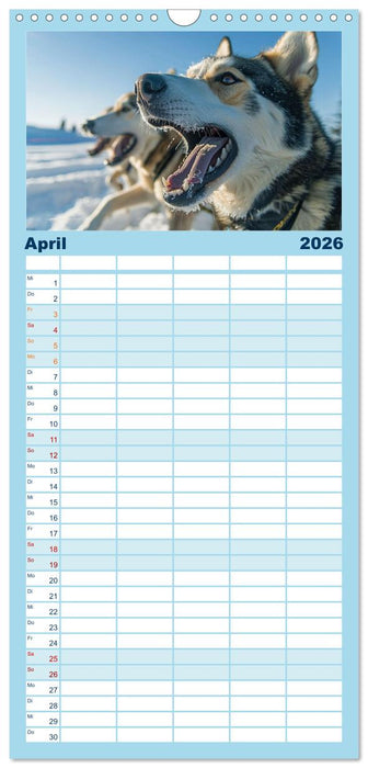 Schlittenhund Träume (CALVENDO Familienplaner 2026)