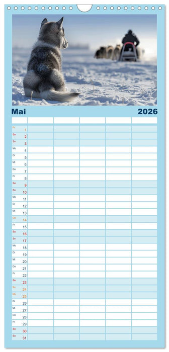 Schlittenhund Träume (CALVENDO Familienplaner 2026)