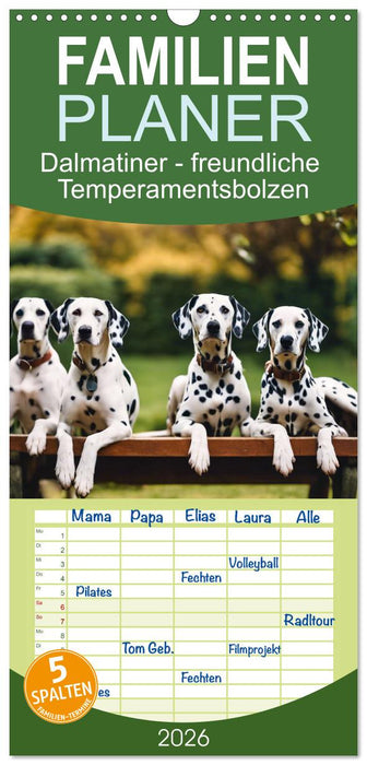 Dalmatiner - freundliche Temperamentsbolzen (CALVENDO Familienplaner 2026)