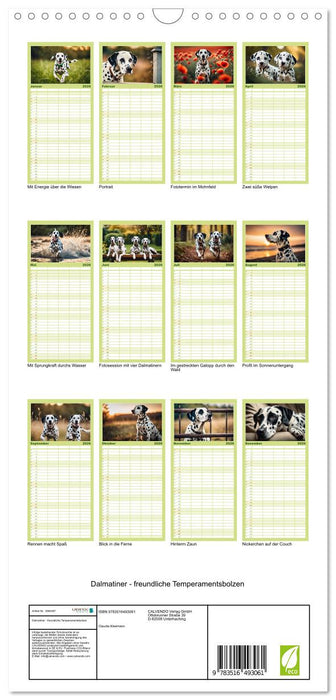 Dalmatiner - freundliche Temperamentsbolzen (CALVENDO Familienplaner 2026)