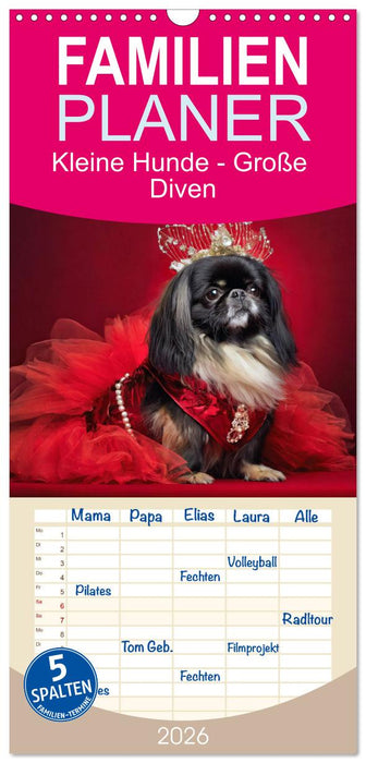 Kleine Hunde - Große Diven (CALVENDO Familienplaner 2026)