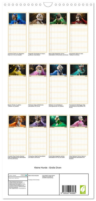 Kleine Hunde - Große Diven (CALVENDO Familienplaner 2026)