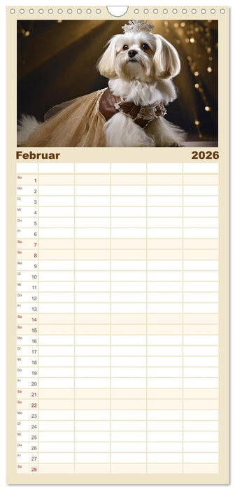 Kleine Hunde - Große Diven (CALVENDO Familienplaner 2026)