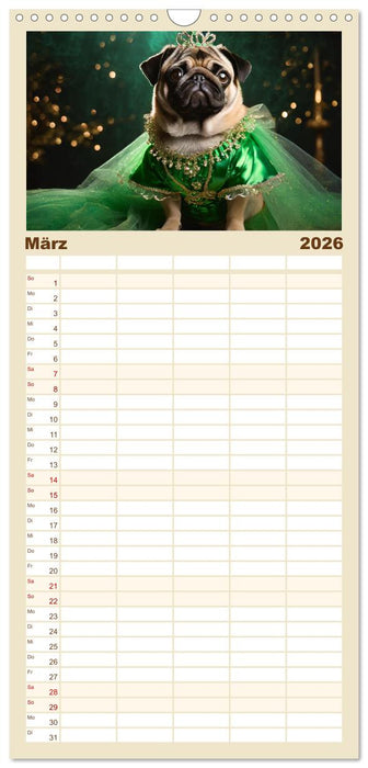 Kleine Hunde - Große Diven (CALVENDO Familienplaner 2026)