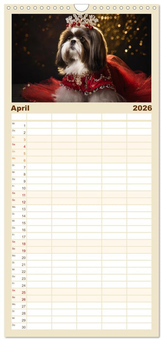 Kleine Hunde - Große Diven (CALVENDO Familienplaner 2026)