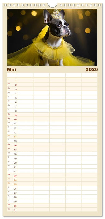 Kleine Hunde - Große Diven (CALVENDO Familienplaner 2026)