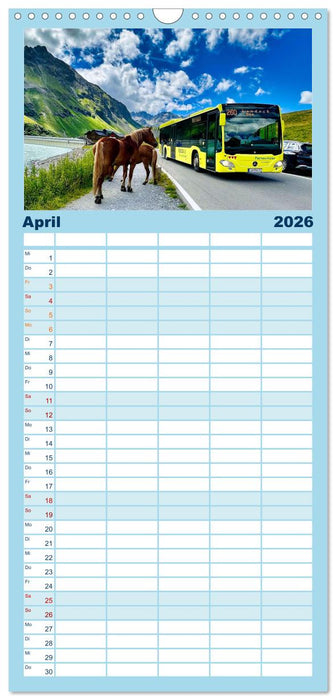 Omnibusse im Fokus (CALVENDO Familienplaner 2026)