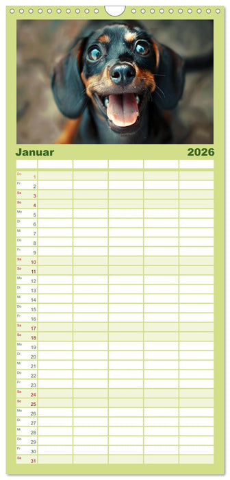 Lächelnde Hunde sind wie Sonnenschein auf vier Pfoten (CALVENDO Familienplaner 2026)