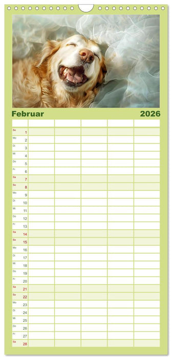 Lächelnde Hunde sind wie Sonnenschein auf vier Pfoten (CALVENDO Familienplaner 2026)