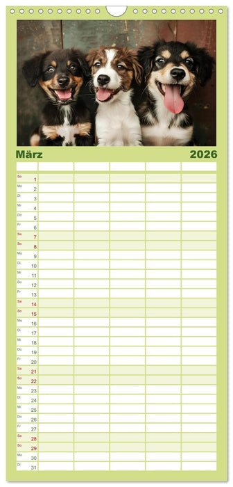 Lächelnde Hunde sind wie Sonnenschein auf vier Pfoten (CALVENDO Familienplaner 2026)