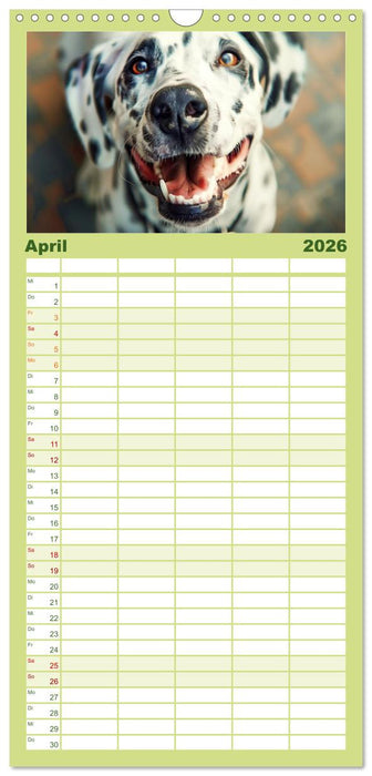 Lächelnde Hunde sind wie Sonnenschein auf vier Pfoten (CALVENDO Familienplaner 2026)