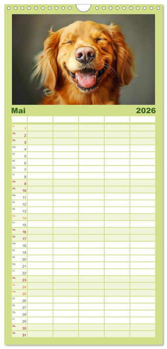 Lächelnde Hunde sind wie Sonnenschein auf vier Pfoten (CALVENDO Familienplaner 2026)