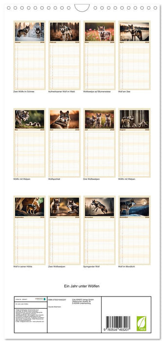 Ein Jahr unter Wölfen (CALVENDO Familienplaner 2026)