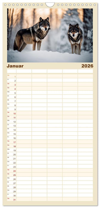Ein Jahr unter Wölfen (CALVENDO Familienplaner 2026)