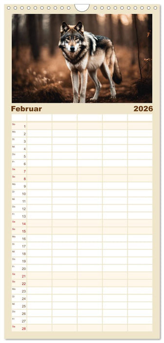 Ein Jahr unter Wölfen (CALVENDO Familienplaner 2026)