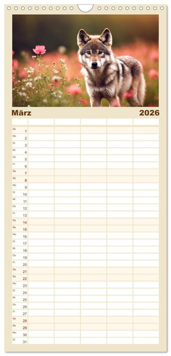 Ein Jahr unter Wölfen (CALVENDO Familienplaner 2026)