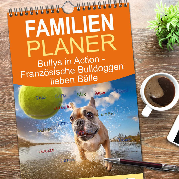 Bullys in Action - Französische Bulldoggen lieben Bälle (CALVENDO Familienplaner 2026)