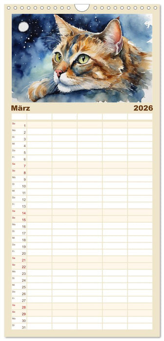 Samtpfoten im Portrait (CALVENDO Familienplaner 2026)