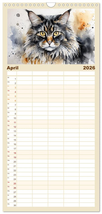 Samtpfoten im Portrait (CALVENDO Familienplaner 2026)