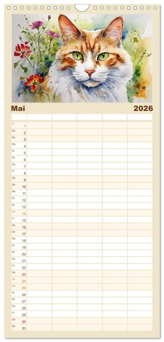 Samtpfoten im Portrait (CALVENDO Familienplaner 2026)