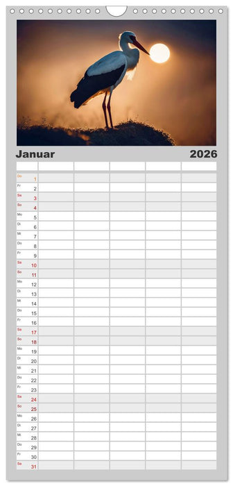 Heimische Tiere im Mondlicht (CALVENDO Familienplaner 2026)