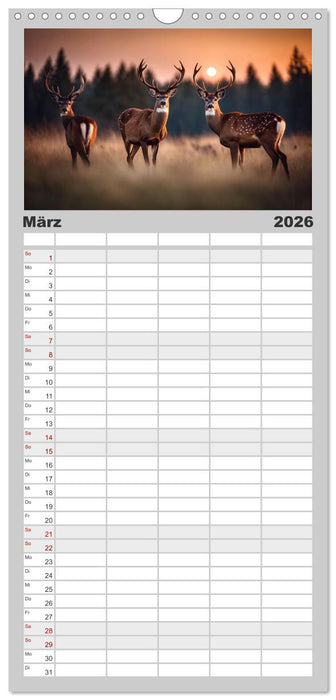 Heimische Tiere im Mondlicht (CALVENDO Familienplaner 2026)