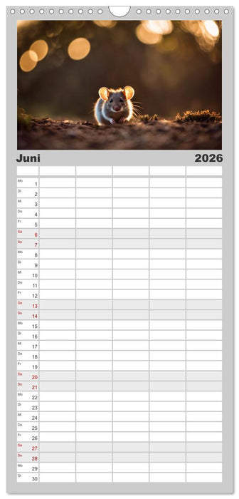 Heimische Tiere im Mondlicht (CALVENDO Familienplaner 2026)