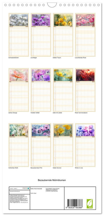 Bezaubernde Mohnblumen (CALVENDO Familienplaner 2026)