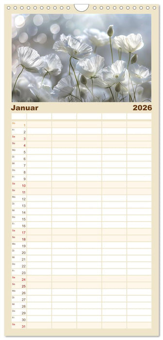 Bezaubernde Mohnblumen (CALVENDO Familienplaner 2026)