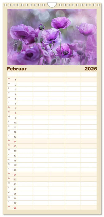 Bezaubernde Mohnblumen (CALVENDO Familienplaner 2026)