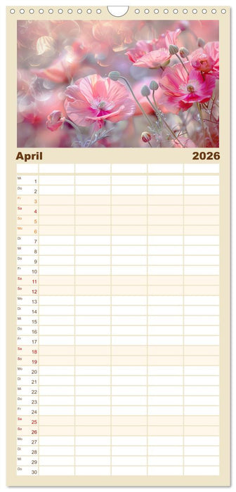 Bezaubernde Mohnblumen (CALVENDO Familienplaner 2026)