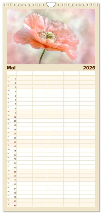 Bezaubernde Mohnblumen (CALVENDO Familienplaner 2026)